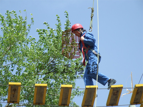 解剖團(tuán)隊(duì)凝聚力拓展訓(xùn)練的發(fā)展